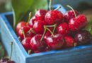 Wiśnia – owoc pełen słodyczy i zdrowia dla każdego